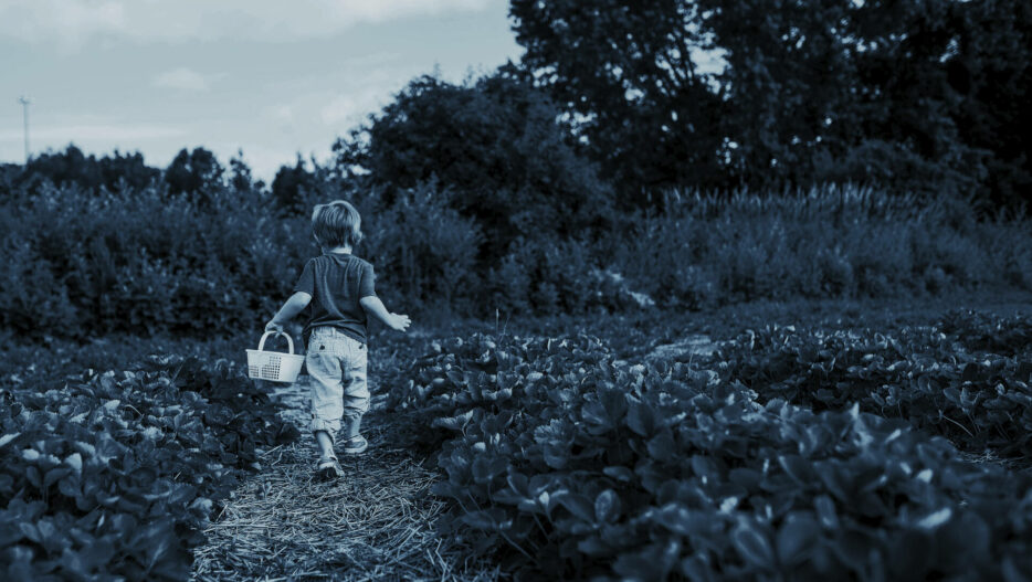 Boy walking in the field