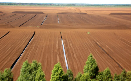 Peat bog with stockpiles