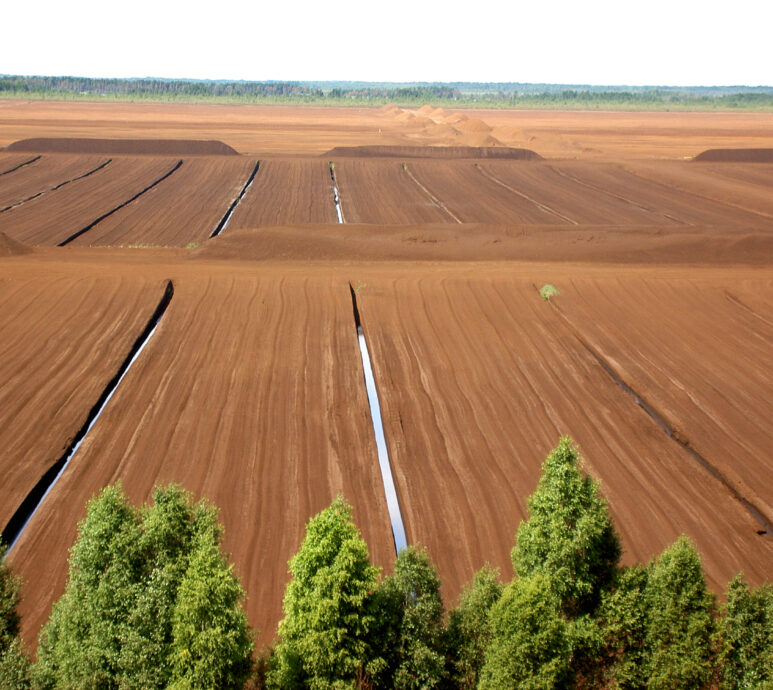 Peat bog with stockpiles